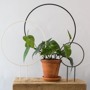 Plant Trellis UK Plant Support Plant Climbers 3d Print XXL Round 3 SIZES Accessories For Monstera Philodendron Hoya Pothos Anthurium image 3