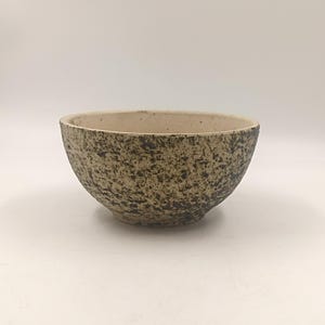 Coupe Céramique Vintage Écorce de Bouleau Pieter Groeneveldt Hollande Années 60's 70 studio pottery brutaliste midcentury