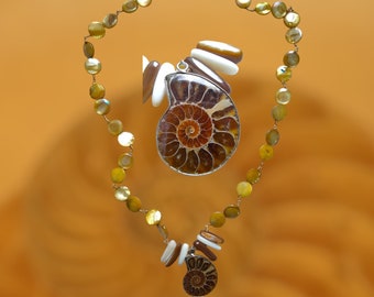 Collier pendentif fossile d'ammonite, perles disque de coquillage