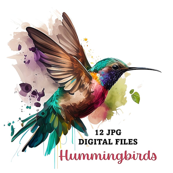 12 Colorful Hummingbird  Digital Images for Free Commercial Use, Watercolor Colibri ClipArt, Digital Download, PRINTABLE Digital Art