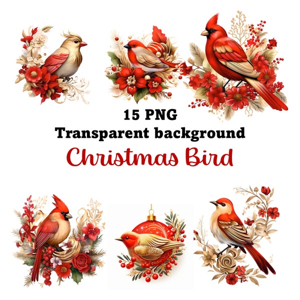 15 Christmas Bird Clipart with TRANSPARENT BACKGROUND, High Quality PNG Christmas picture for Free Commercial Use, Sublimation, Scrapbooking