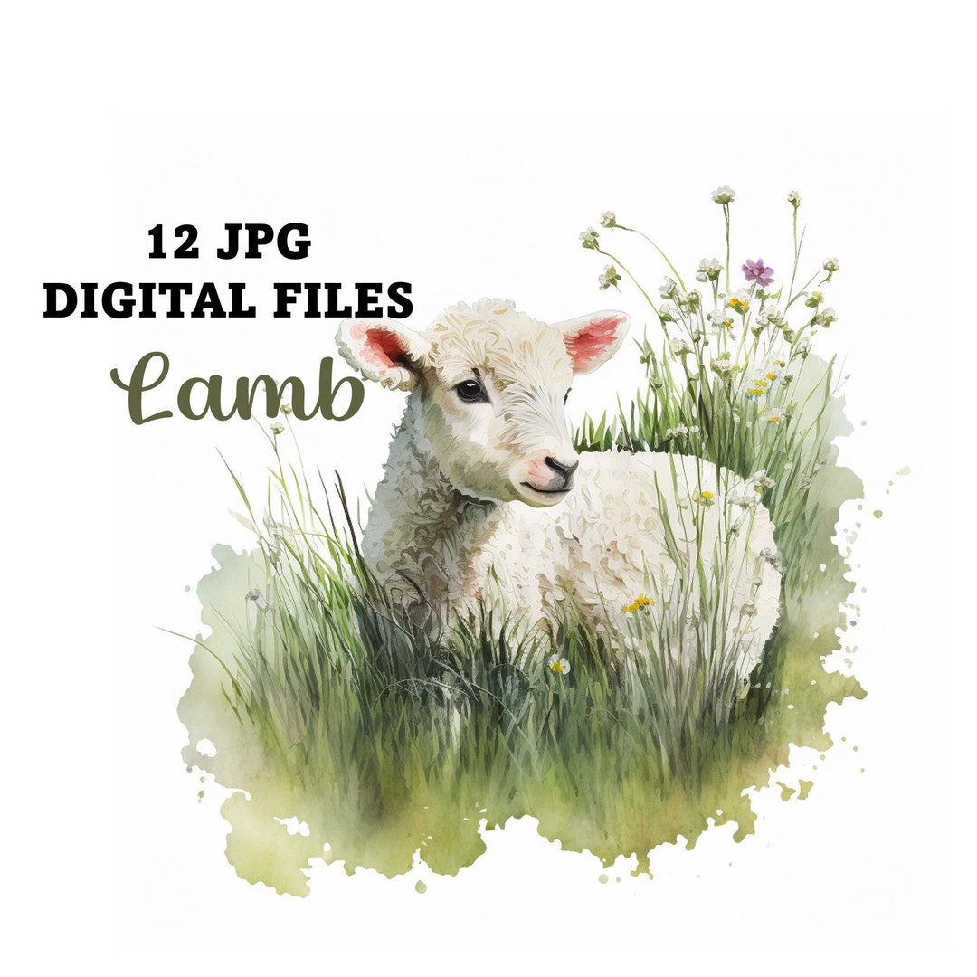 12 Watercolor Lamb Digital Images Free Commercial Use, Lamb Clipart