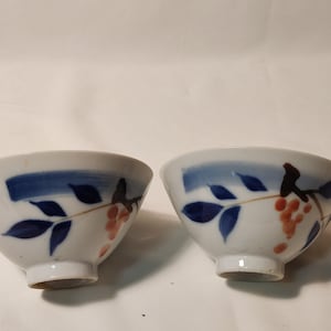 Vintage Aziatisch/Japans porseleinen rijstkomset-eetkamerservies ter vervanging