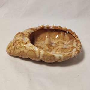 Peut inclure: Un plat en céramique en forme de coquillage avec une finition brillante. Le plat est principalement de couleur beige avec des marbrures marron plus foncées et un bord crème. L'intérieur est lisse et la coquille a un extérieur texturé et détaillé.