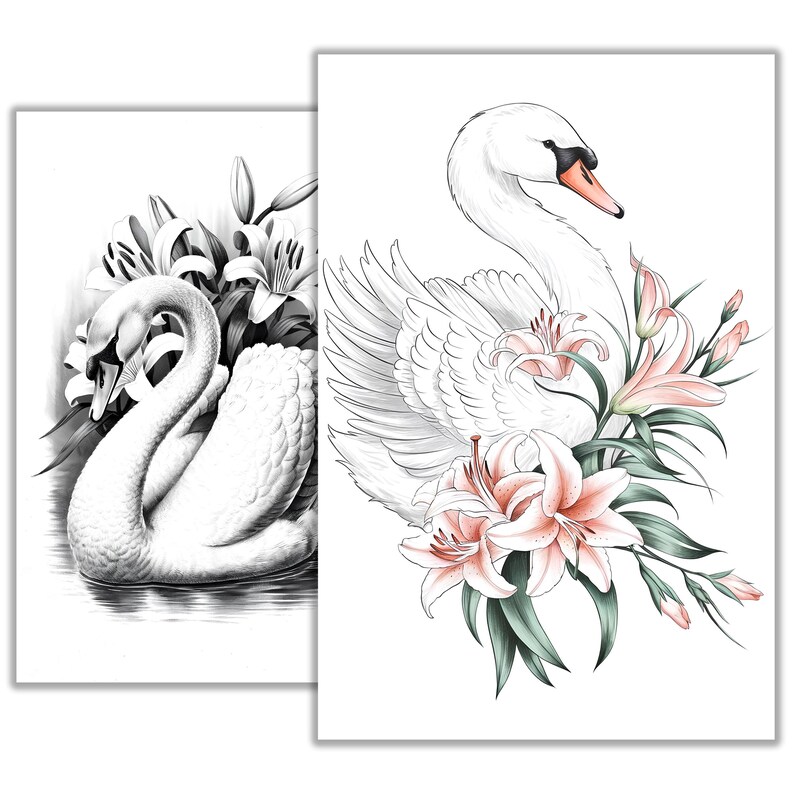 Swan Ink Drawing Swan Tattoo Sketch – Elegant Black and White Line Art Design | Graceful ...