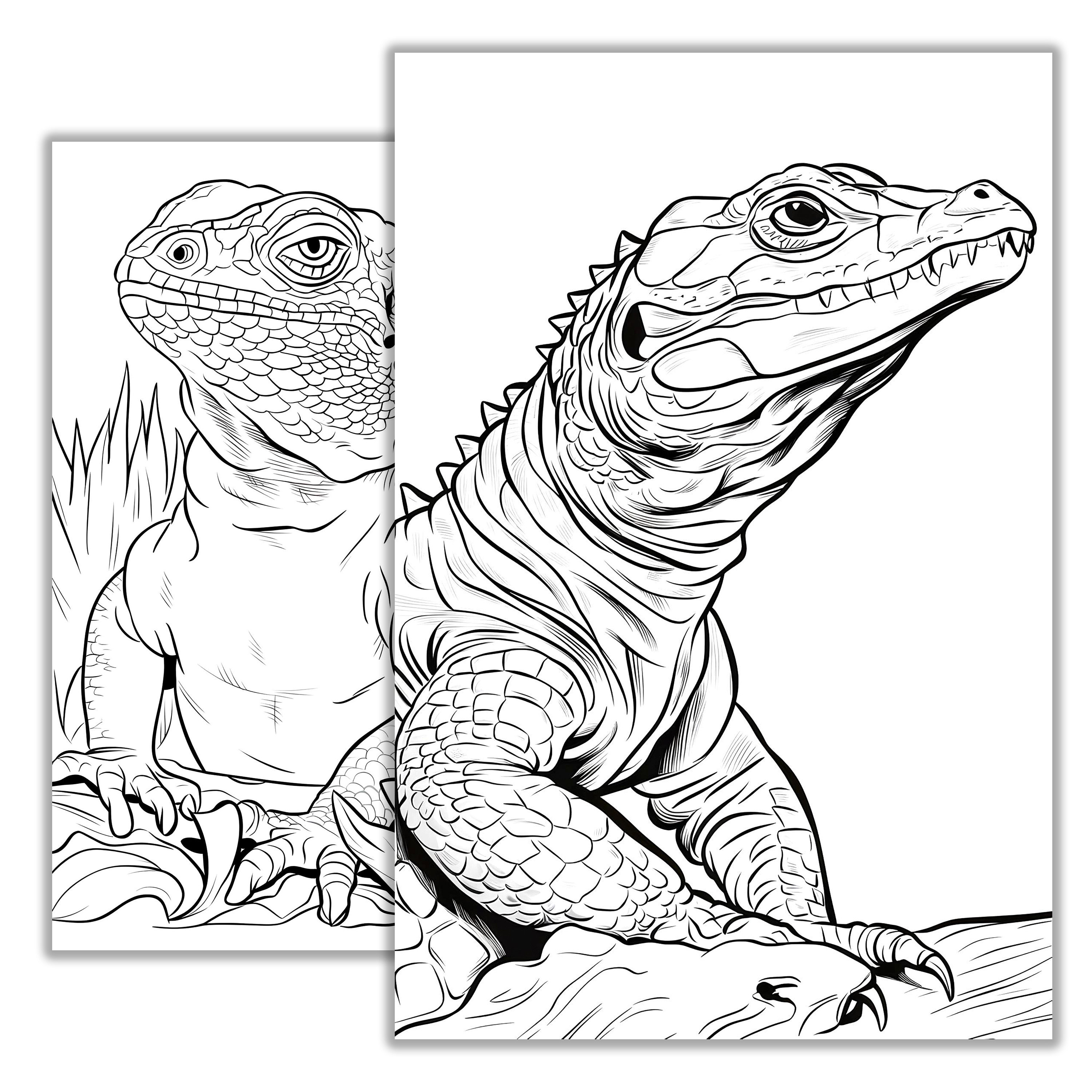 Iguana Coloring Page