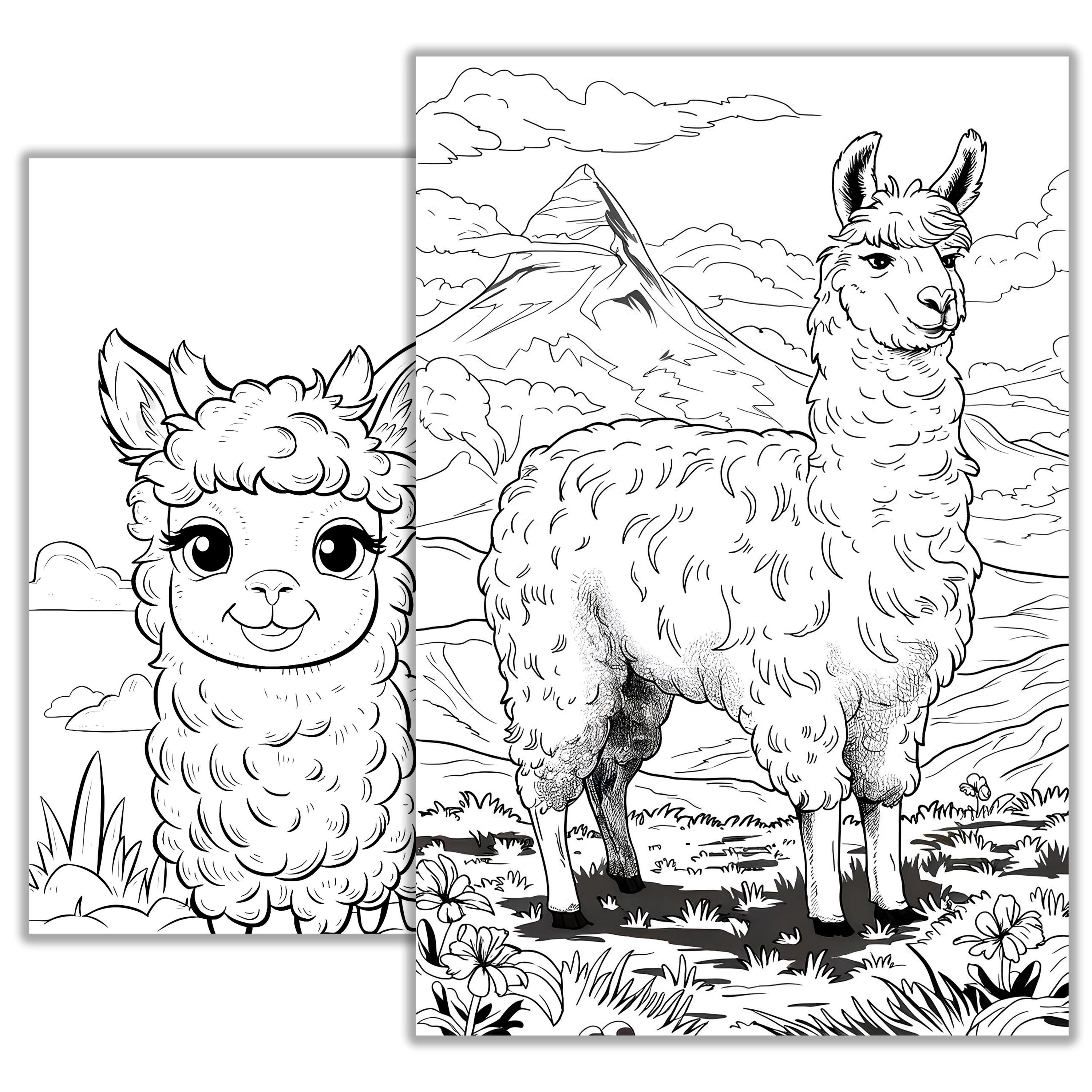 Llama Coloring Page – Cute Printable Coloring Sheet for Kids & Adults ...