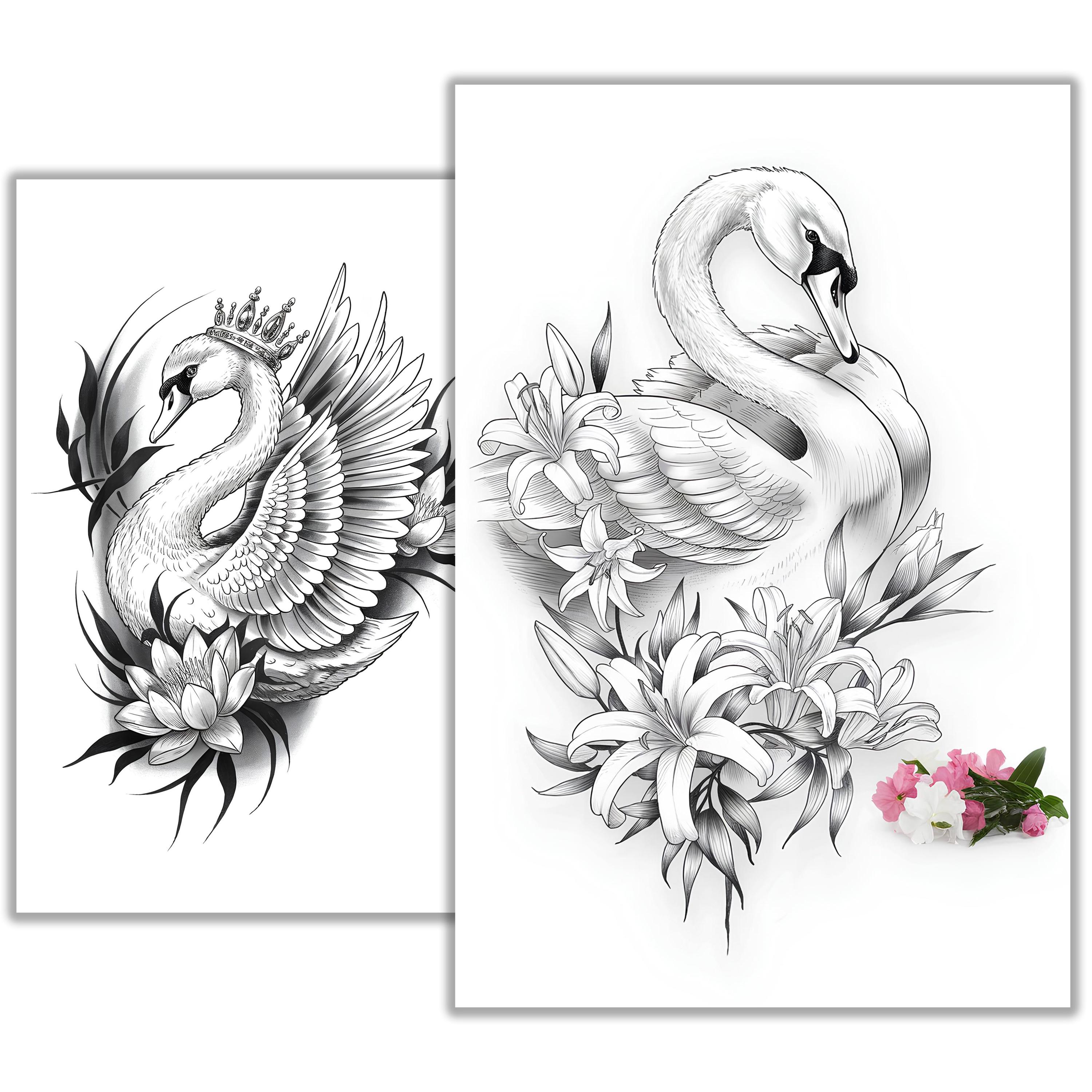 Swan Ink Drawing Swan Tattoo Sketch – Elegant Black and White Line Art Design | Graceful ...