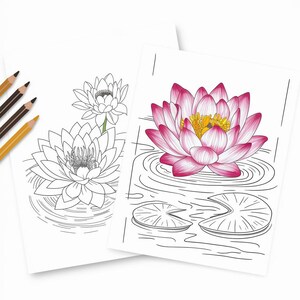 Lily Pad Coloring Page Peaceful Pond Scene With Lotus Flowers and