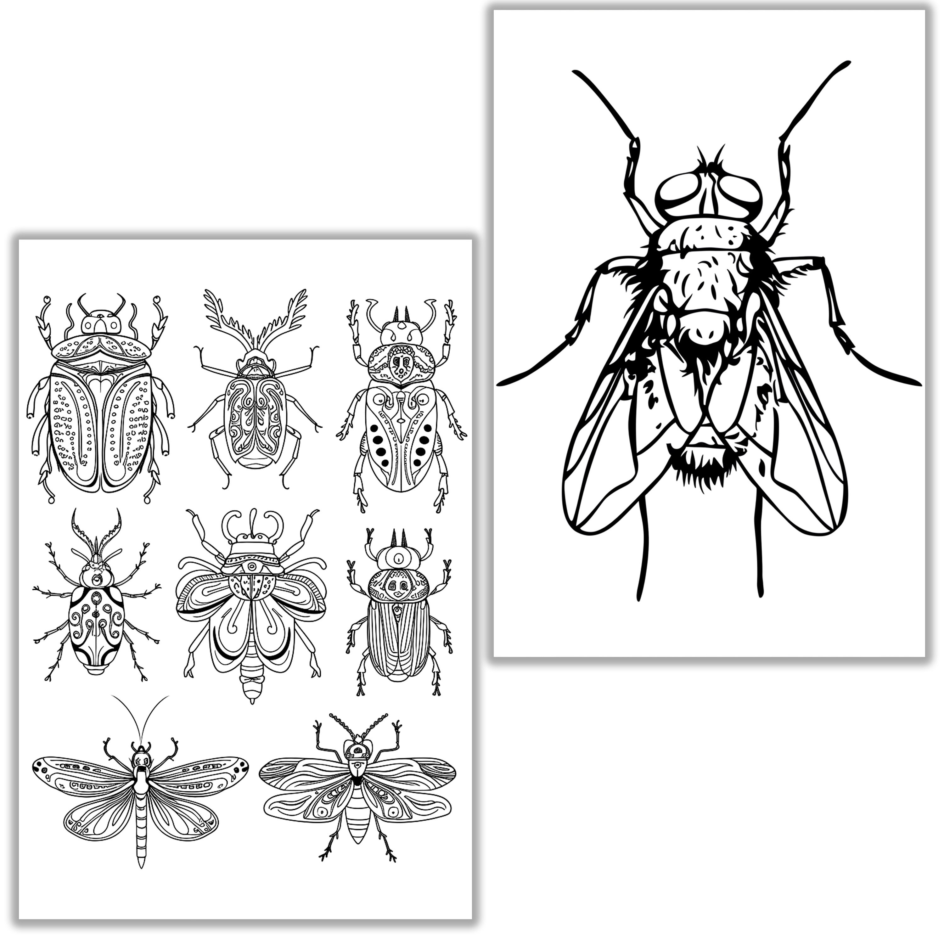 Insectpg Insect Coloring Pages – Fun Printable Bug Coloring Sheets for Kids ...