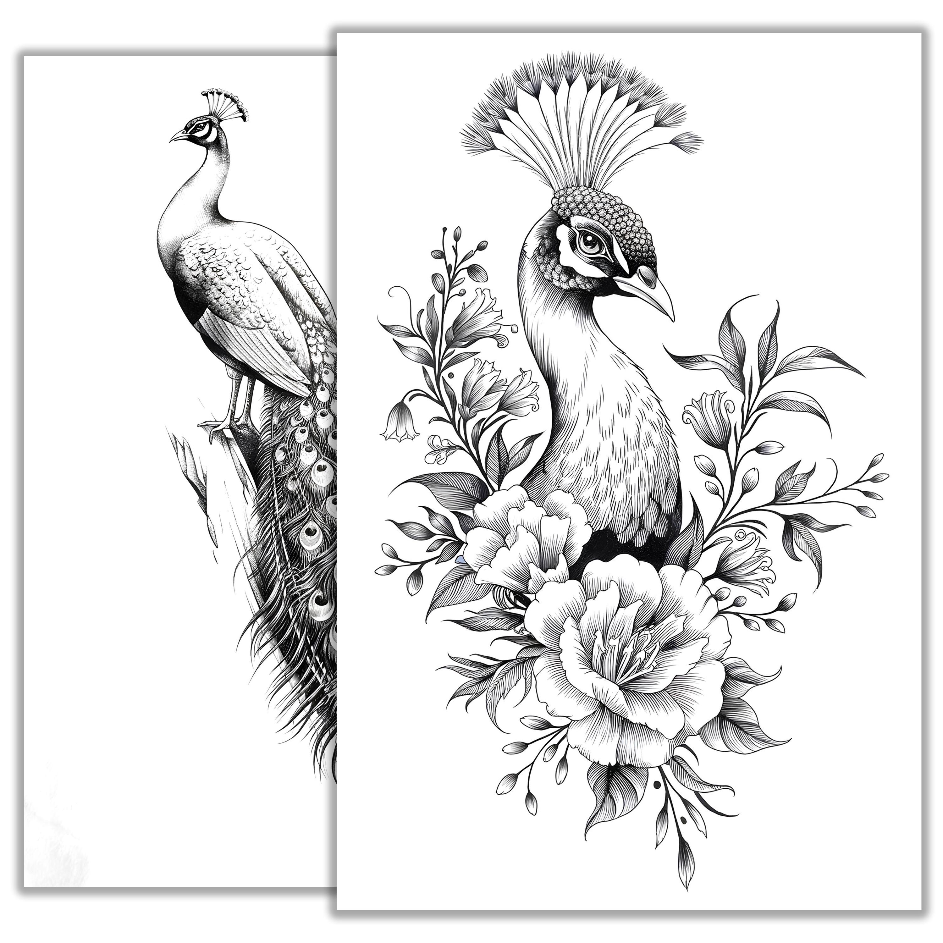 Pauw tattoo schets - elegant vogel tattoo ontwerp, minimalistische  lijnkunst, prachtige veer inkt tekening, printbaar tattoo idee - Etsy België, image size:3000x3000