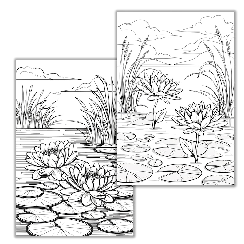 Lily Pad Coloring Page Peaceful Pond Scene With Lotus Flowers and