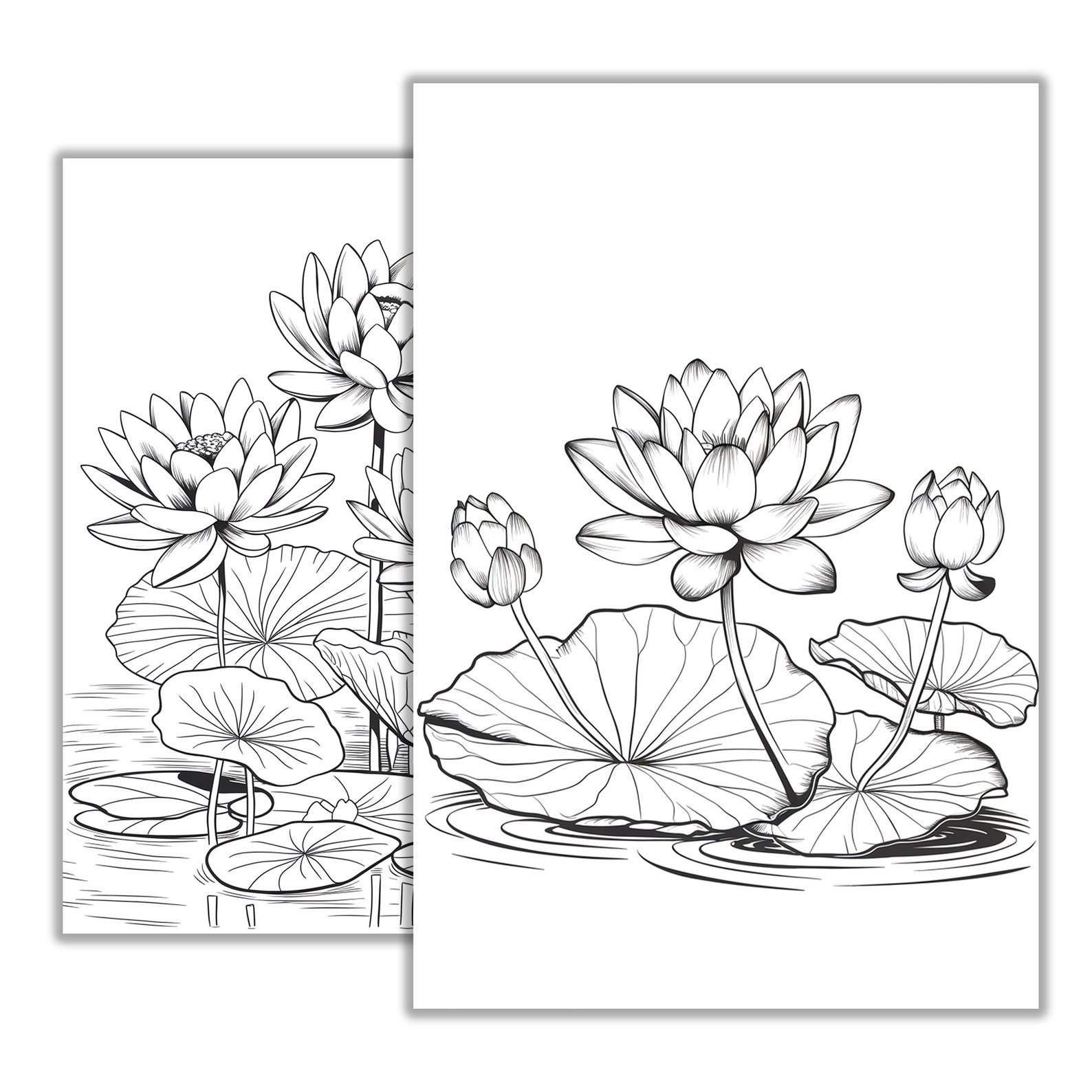 Lily Pad Coloring Page Tranquil Pond Scene Printable Art for Kids ...