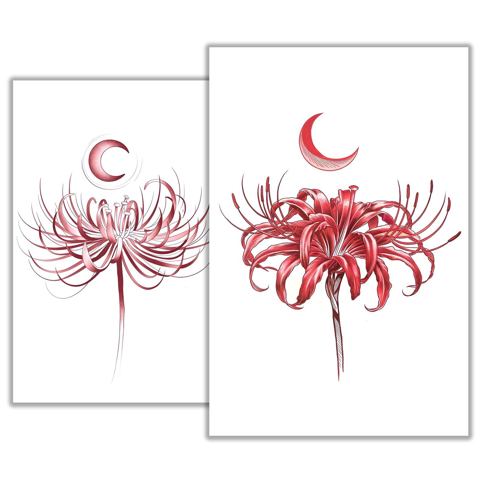 Red Spider Lily Tattoo Sketch – Elegant and Symbolic Floral Ink Design ...