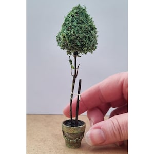 May include: Miniature topiary tree in a decorative pot. The tree has a cone-shaped top made of green foliage. The pot is a small, detailed design with a textured surface. The tree is held by a hand.