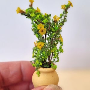 Miniaturas de flores para casa de bonecas em vasos. Escala 1/12 e 1/24. Vasos de cerâmica ou barro com aparência envelhecida e realista. Flores, botões, samambaias, rosas. Style: 21