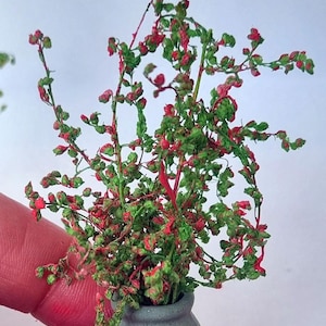 Miniaturas de flores para casa de bonecas em vasos. Escala 1/12 e 1/24. Vasos de cerâmica ou barro com aparência envelhecida e realista. Flores, botões, samambaias, rosas. imagem 19