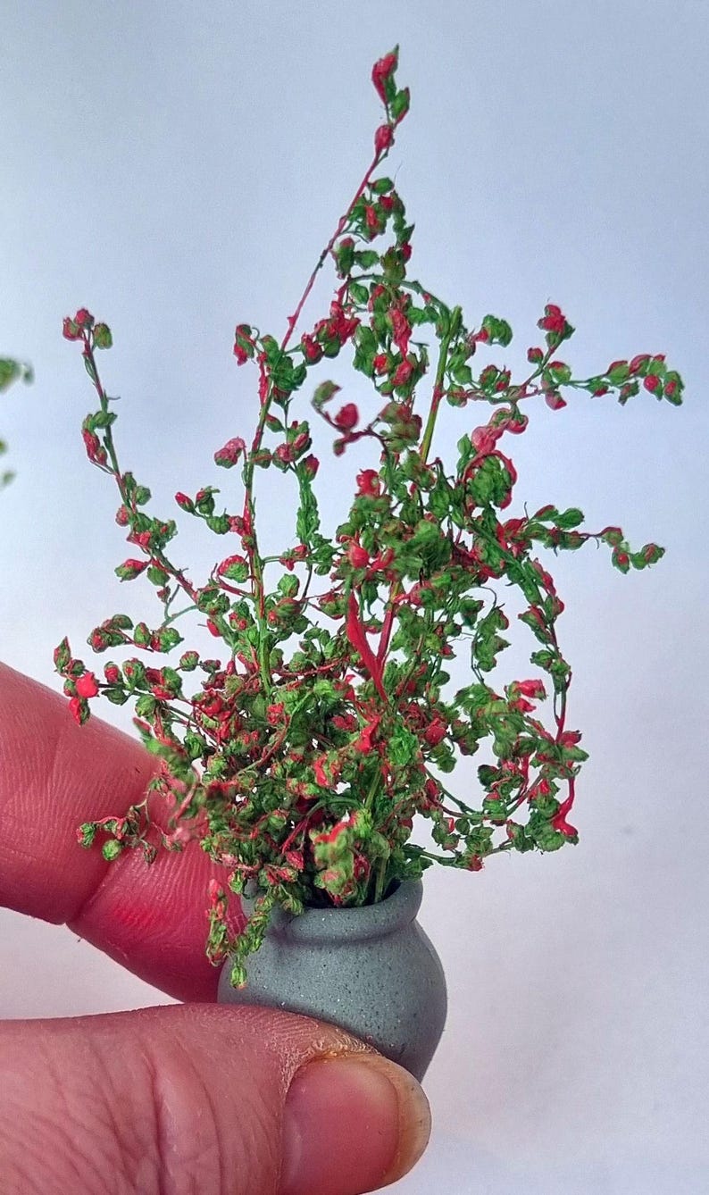 Miniaturas de flores para casa de bonecas em vasos. Escala 1/12 e 1/24. Vasos de cerâmica ou barro com aparência envelhecida e realista. Flores, botões, samambaias, rosas. imagem 19