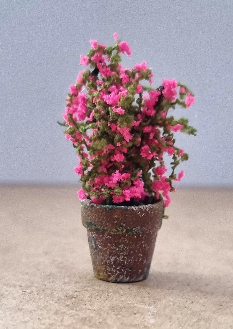 Pode incluir: Uma planta em miniatura em vaso com flores rosa vibrantes e folhagem verde. A planta est&aacute; num pequeno vaso castanho texturizado, criando um charme decorativo. A planta &eacute; uma vers&atilde;o em miniatura de uma buganv&iacute;lia.