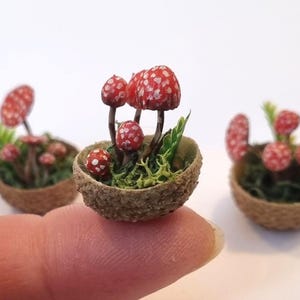 Op de afbeelding: Miniatuur paddenstoelentuin in een geweven mand. De rood-wit gestippelde paddenstoelen zijn omgeven door groen mos en bladeren. De mand wordt op een vingertop gehouden, wat de kleine schaal van de grillige feeëntuin laat zien.