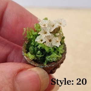 Miniaturas de flores para casa de bonecas em vasos. Escala 1/12 e 1/24. Vasos de cerâmica ou barro com aparência envelhecida e realista. Flores, botões, samambaias, rosas. Style: 20