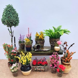 Puede incluir: Escena de jardín en miniatura con una variedad de plantas y flores en macetas. Incluye un pequeño árbol topiario, helechos y flores coloridas en varias macetas. Una pequeña estantería de madera contiene algunas de las plantas y una herramienta de jardinería en miniatura. Una mariposa está posada en una de las plantas.