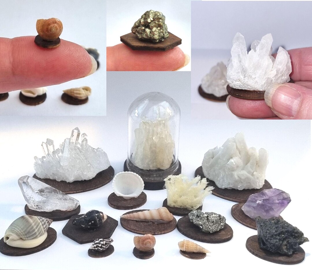 Dollhouse Miniature Crystals, Amethyst, Shells, Fake Coral, Fools Gold ...