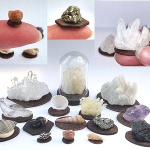 Dollhouse Miniature Crystals, Amethyst, Shells, Fake Coral, Fools Gold, Meteorite. Plinth. 12th-24th Scale. Explorer, Archaeologist, Curios.