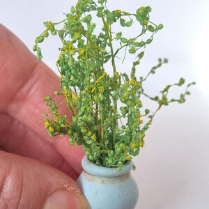 Miniaturas de flores para casa de bonecas em vasos. Escala 1/12 e 1/24. Vasos de cerâmica ou barro com aparência envelhecida e realista. Flores, botões, samambaias, rosas. imagem 18