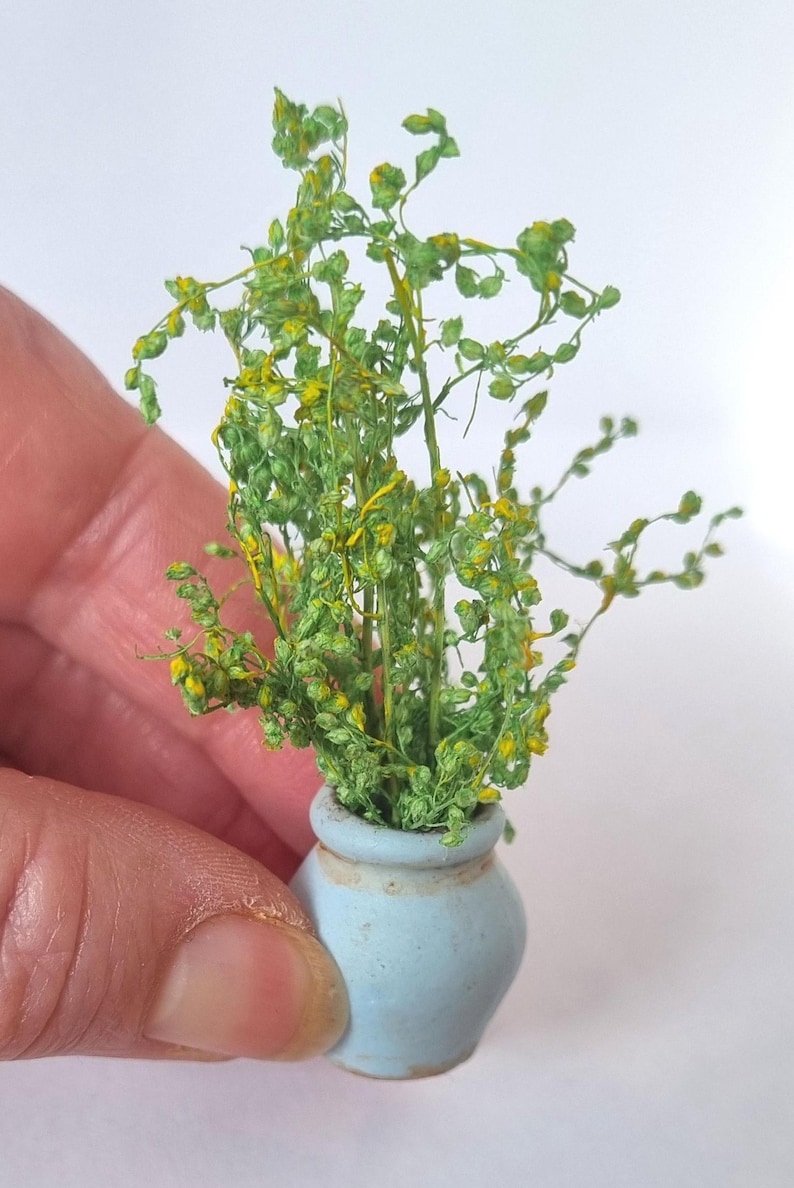 Miniaturas de flores para casa de bonecas em vasos. Escala 1/12 e 1/24. Vasos de cerâmica ou barro com aparência envelhecida e realista. Flores, botões, samambaias, rosas. imagem 18