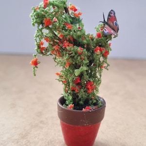 Pode incluir: Pequena planta em vaso com folhas verdes e pequenas flores laranja. Uma borboleta com marcas vermelhas, azuis e pretas est&aacute; pousada na planta. O vaso &eacute; vermelho com uma borda marrom.