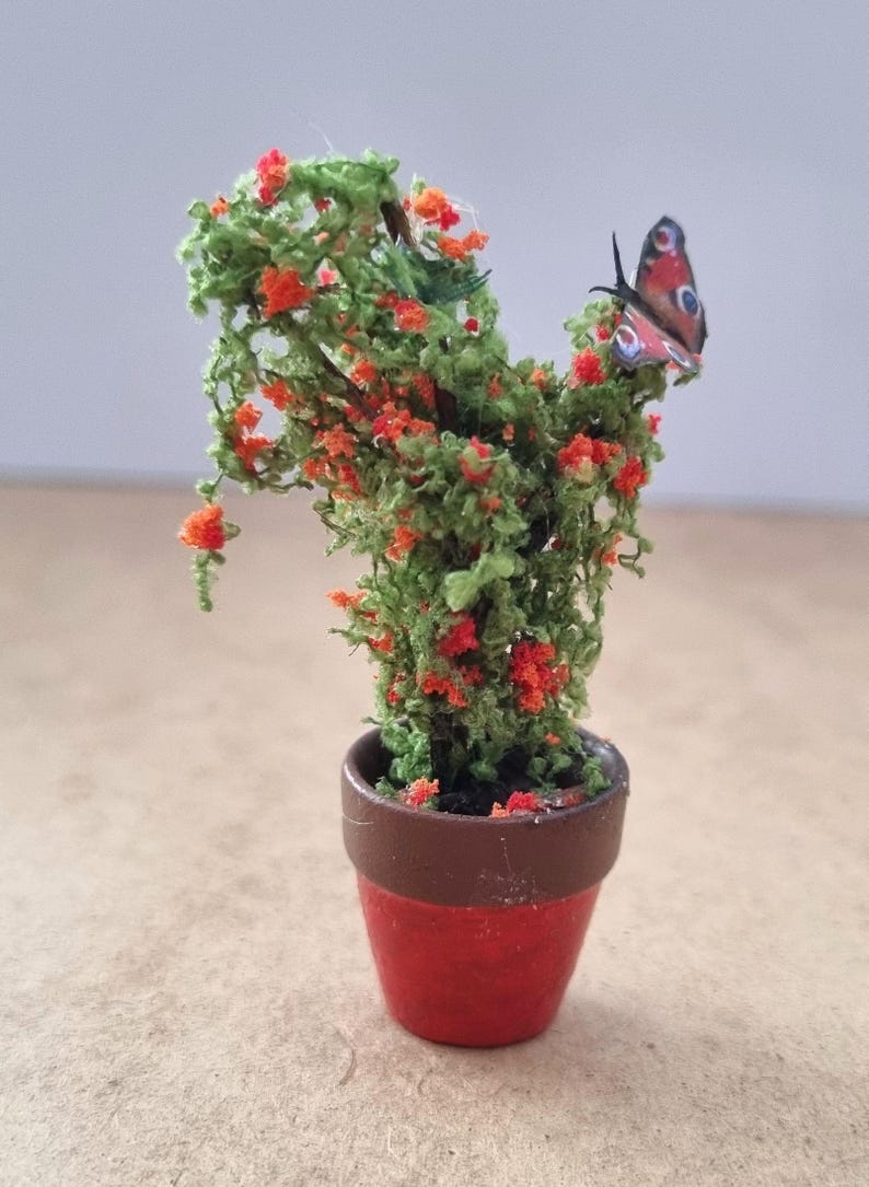 Pode incluir: Pequena planta em vaso com folhas verdes e pequenas flores laranja. Uma borboleta com marcas vermelhas, azuis e pretas est&aacute; pousada na planta. O vaso &eacute; vermelho com uma borda marrom.