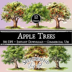 Clipart de macieira em aquarela, uso comercial, download instantâneo, clipart de natureza, clipart de outono, clipart de maçã, clipart de comida