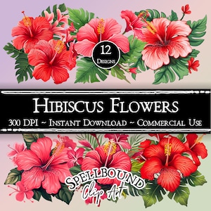 May include: A digital illustration set of 12 red hibiscus flowers with green leaves. The text "SPELLBOUND Clip Art" and "HIBISCUS FLOWERS" is included in the image. The text "300 DPI - INSTANT DOWNLOAD - COMMERCIAL USE" is also included in the image.