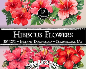 Hibiscus Flowers Digital Clipart, Commercial Use, Instant Download, Flower Clip Art, Tropical Flowers, Floral Clipart, Flower Stems, Summer