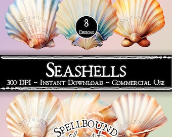 Seashells Digital Clipart, Commercial Use, Instant Download, Summer Clip Art, Beach Clipart, Nature Clipart, PNG, Ocean Clipart