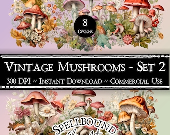 Vintage Mushroom Digital Clipart, Commercial Use, Instant Download, Mushroom Clip Art, PNG, Retro Mushroom Clipart, Nature Clipart