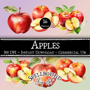 Clipart digital da Apple, uso comercial, download instantâneo, clipart de alimentos, clipart de outono, clipart de frutas, PNG