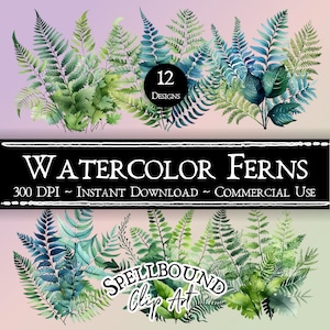 Fougères aquarelle numérique Clipart, usage commercial, téléchargement immédiat, plantes Clip Art, PNG, Clipart Nature