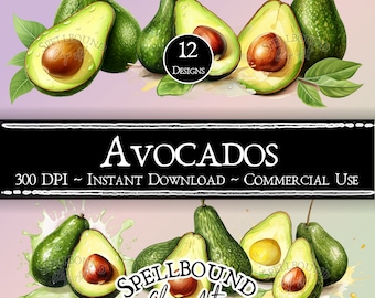 Avocado Digital Clipart, Commercial Use, Instant Download, Guacamole Clipart Fruit and Vegetable Clipart, Drink Clipart, PNG, Food Clipart