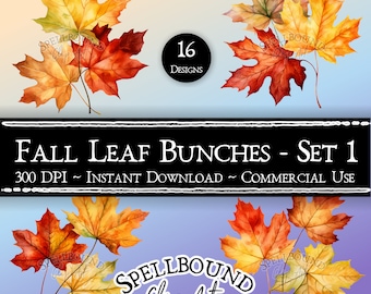 Fall Leaves Digitale Clipart, Commercieel Gebruik, Instant Download, Fall Clipart, Autumn Clip Art, PNG