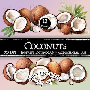 Imágenes prediseñadas digitales de cocos, uso comercial, descarga instantánea, imágenes prediseñadas de verano, imágenes prediseñadas de frutas y verduras, imágenes prediseñadas tropicales, PNG, imágenes prediseñadas de alimentos
