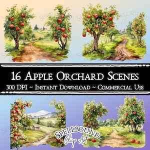 Clipart de pomar de maçã em aquarela, uso comercial, download instantâneo, clipart de natureza, clipart de outono, PNG