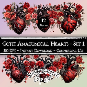 Imágenes prediseñadas digitales de corazones anatómicos góticos, uso comercial, descarga instantánea, imágenes prediseñadas de flores, PNG, imágenes prediseñadas de amor, imágenes prediseñadas góticas del día de San Valentín