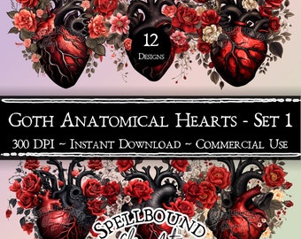 May include: Twelve digital illustrations of anatomical hearts with black veins and red chambers, surrounded by red, white, and pink roses. The text "SPELLBOUND Clip Art" is at the bottom of the image. The text "GOTH ANATOMICAL HEARTS - SET 1" is at the top of the image. The text "300 DPI - INSTANT DOWNLOAD - COMMERCIAL USE" is below the title.