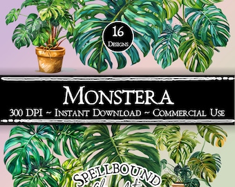 Digitale clipart Monstera, commercieel gebruik, Instant Download, kamerplant clipart, PNG, blad clipart, plant clipart, potplant clipart
