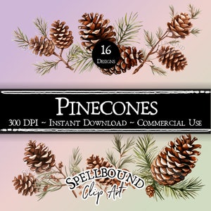Clipart numérique pomme de pin, usage commercial, téléchargement immédiat, des cliparts Noël, des cliparts vacances, PNG, des cliparts Noël, des cliparts hiver