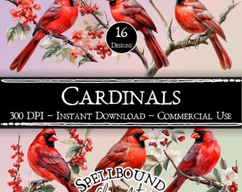 Cardenales Digital Clipart, Uso Comercial, Descarga Instantánea, Bird Clip Art, PNG, Animal Clipart, Nature Clipart, Red Birds