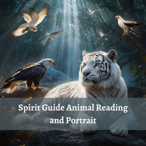 Spirit Guide Reading, Spirit Animal Reading, Spirit Animal Totem, Spirit Animal Companion, Spirit Companion