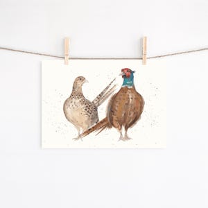 K&ouml;nnte beinhalten: Aquarellmalerei von zwei Fasane, einem M&auml;nnchen und einem Weibchen, vor wei&szlig;em Hintergrund. Das m&auml;nnliche Tier hat braunes und rotes Gefieder mit blauem Hals, w&auml;hrend das Weibchen haupts&auml;chlich braun mit gesprenkelten Mustern ist.